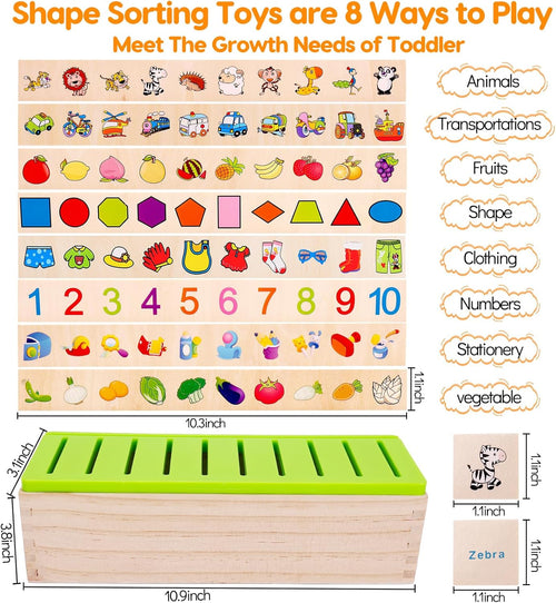 Children's Educational Early Learning Knowledge Classification Box