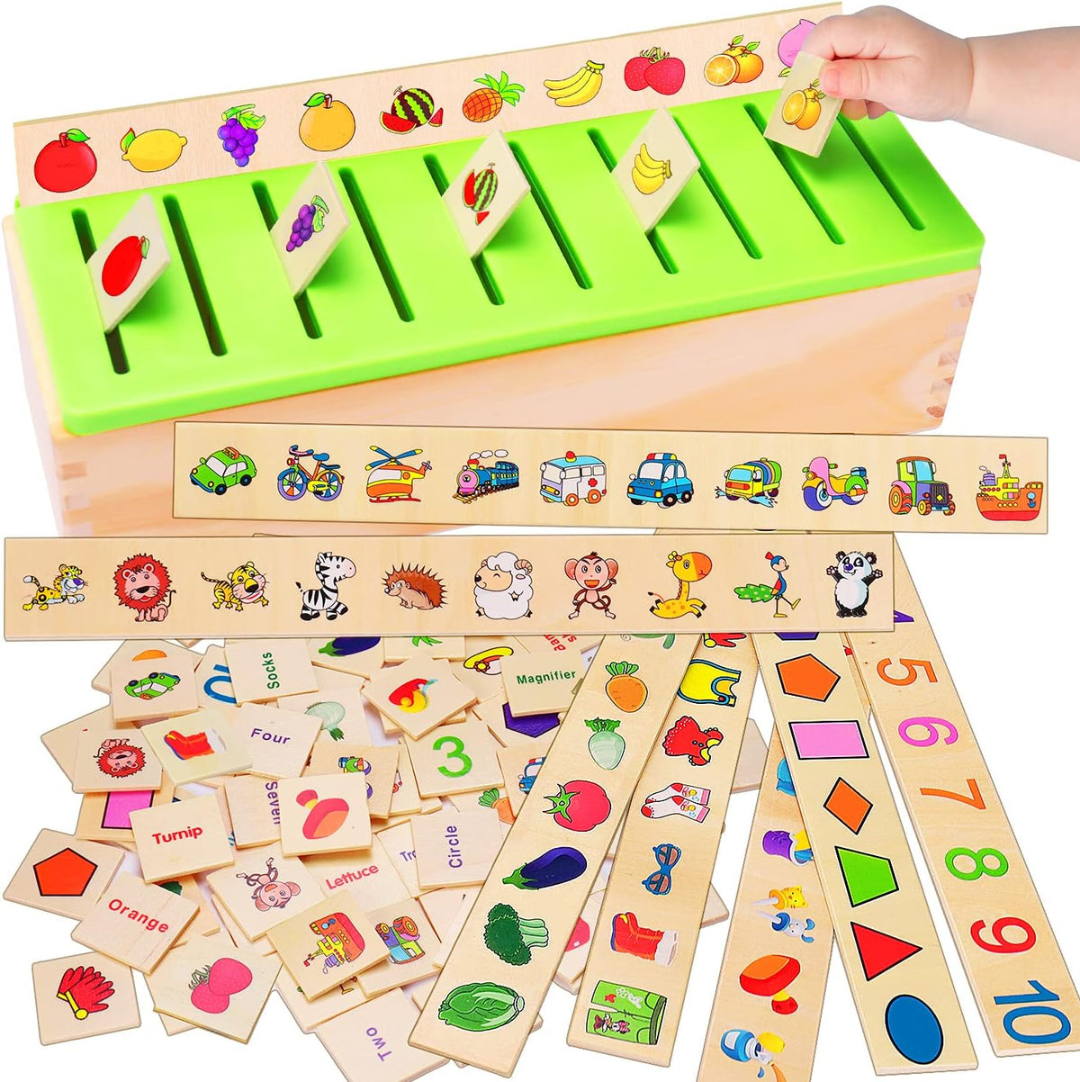 Children's Educational Early Learning Knowledge Classification Box