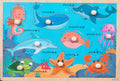 Wooden Fish Shapes Peg Board