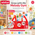 Winfun Melody Gym