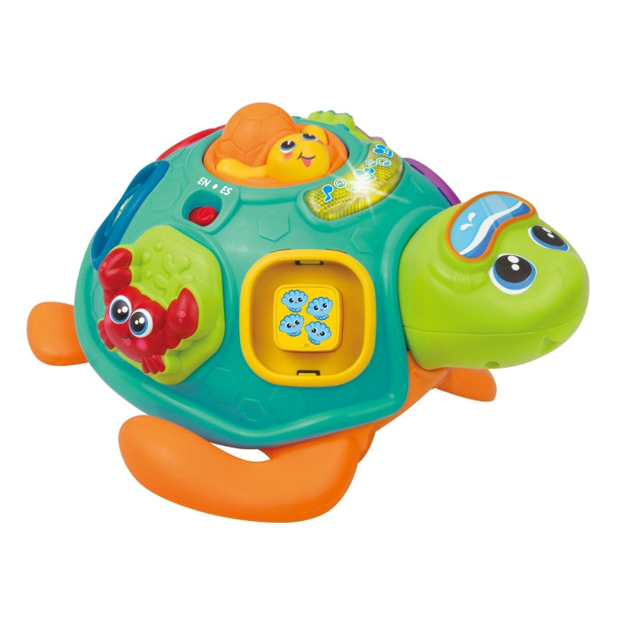 Winfun Pull Along Turtle